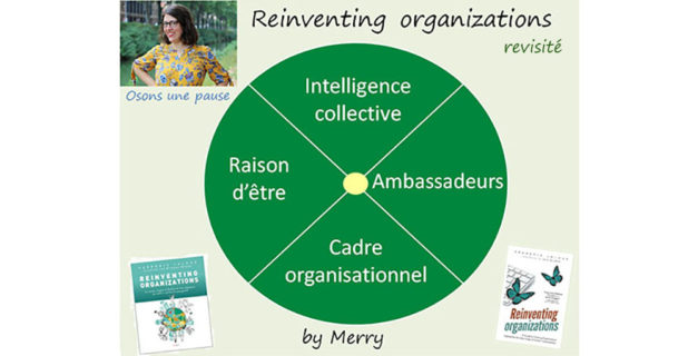 Reinventing organizations revisité by Merry